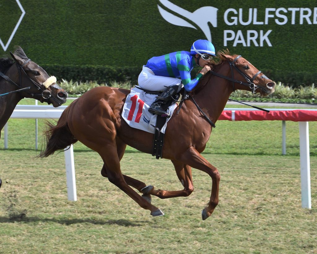 Pronósticos Gulfstream Park hoy: Carreras americanas en vivo hoy