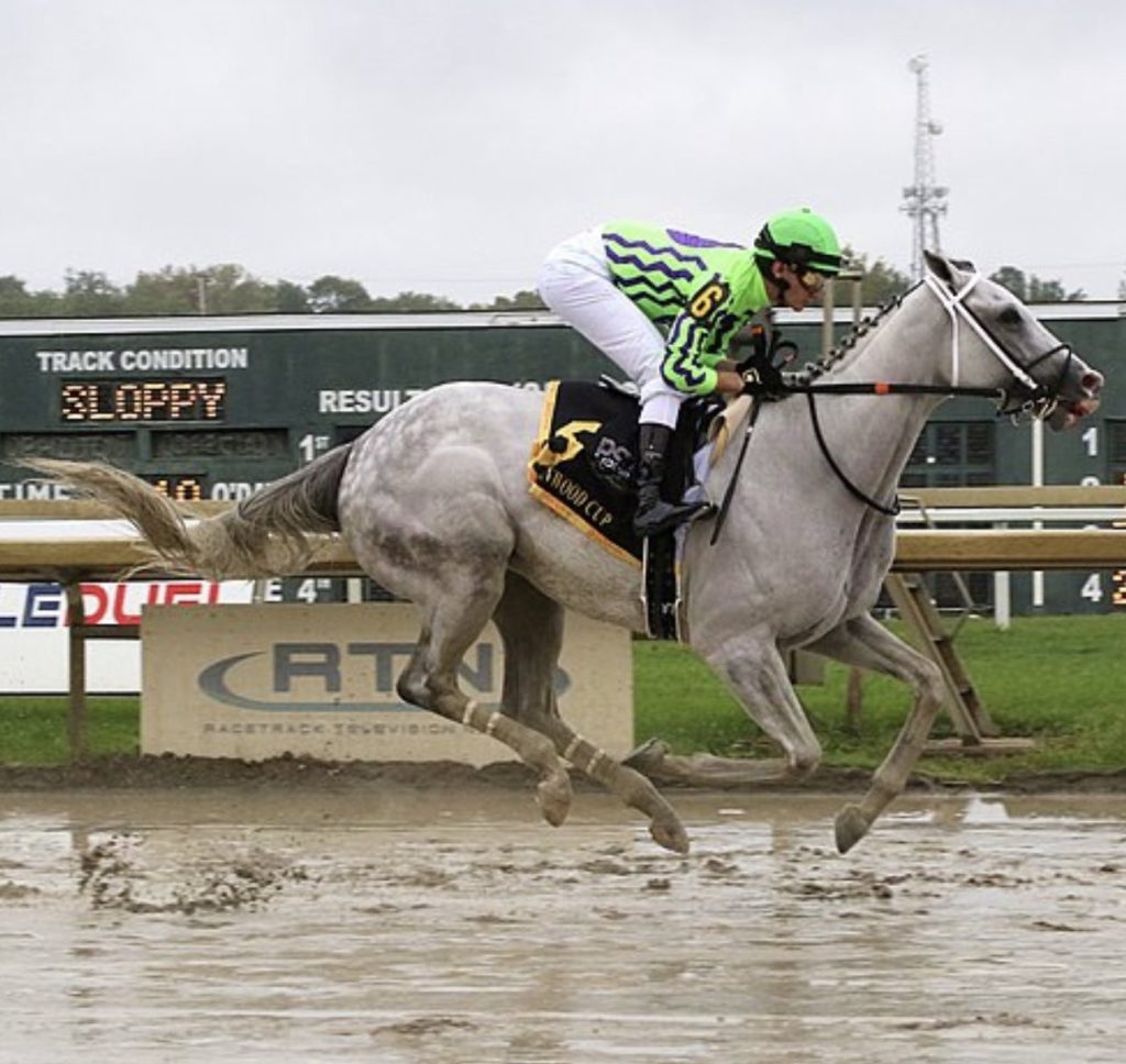 Retrospecto de carreras americanas: Resultados de Parx Racing