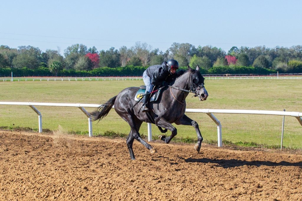 Marcas de tampa bay downs: Resultados carreras americanas hoy