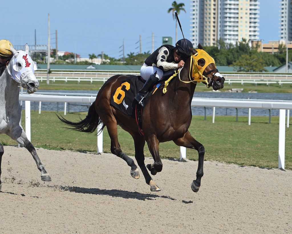 Datos carreras americanas hoy: Pronósticos Gulfstream Park hoy