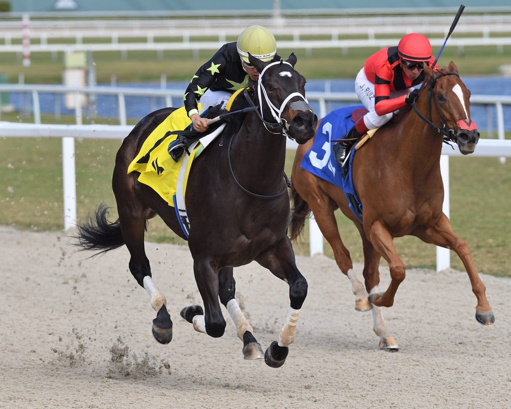 Winner choice gulfstream park hoy: Resultados carreras americanas hoy MasterBets365.com