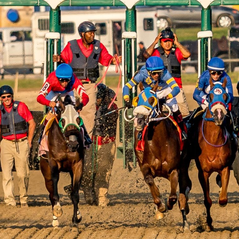Laurel Park picks: Pronósticos de carreras de caballos para hoy