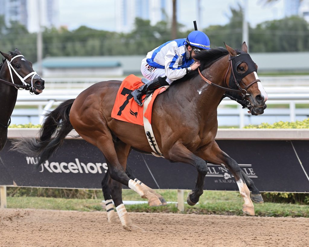 Pronósticos para las carreras de Gulfstream Park hoy
