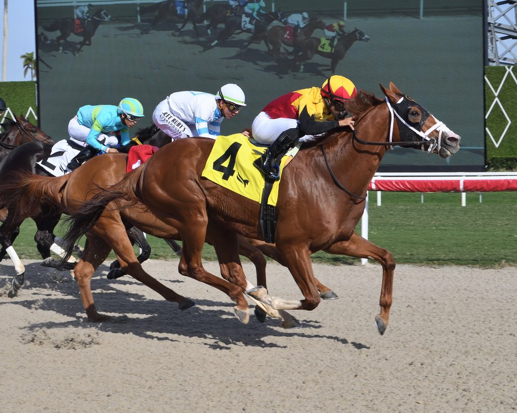 Pronósticos Gulfstream Park hoy: Datos hípicos gratis carreras internacionales MasterBets365.com