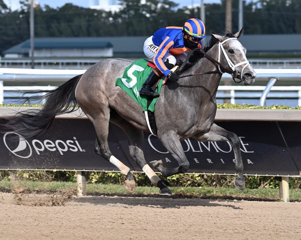 Datos hípicos gratis carreras internacionales: Marcas para Gulfstream Park MasterBets365.com