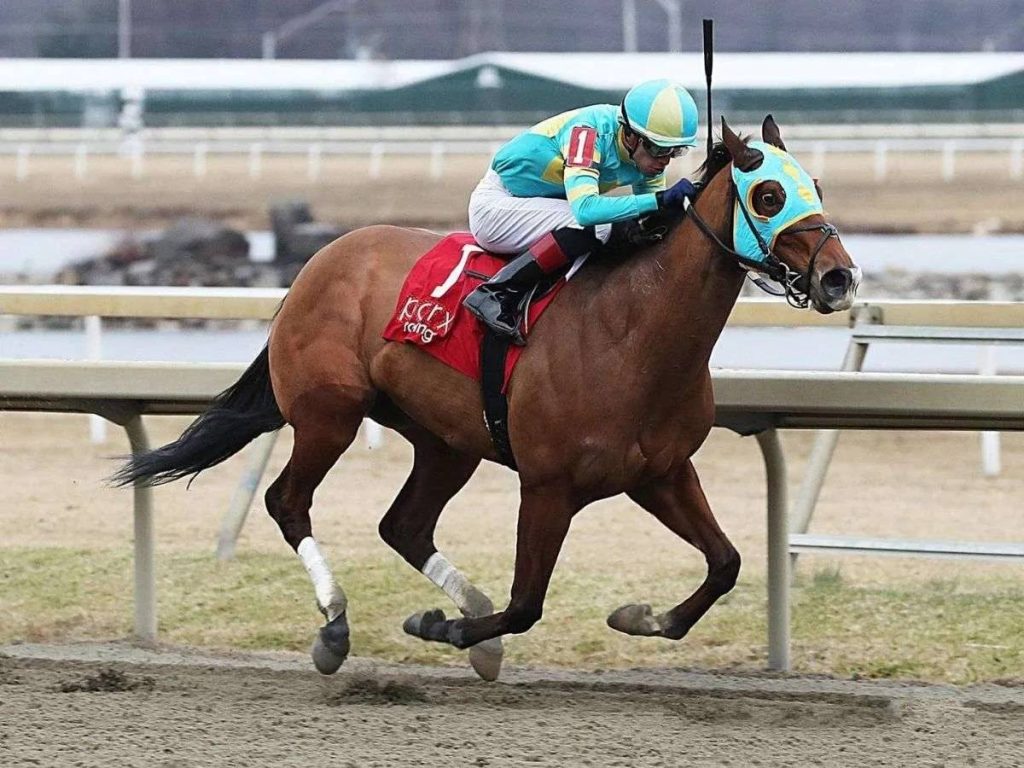 Best bet Parx Racing: Datos carreras americanas hoy