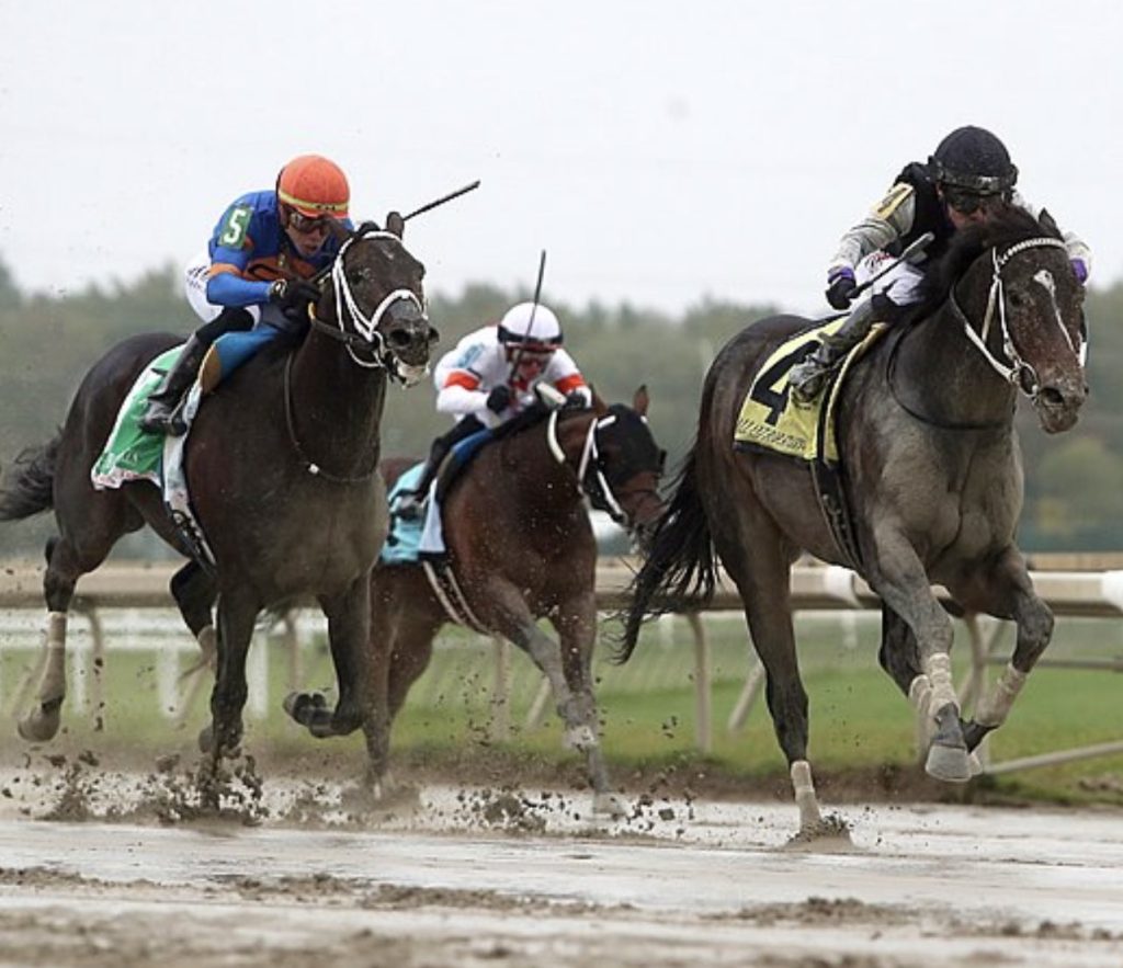 Best bet Parx Racing: Retrospecto de carreras americanas para hoy