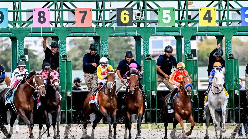 Retrospecto de carreras americanas hoy: Datos Gulfstream Park