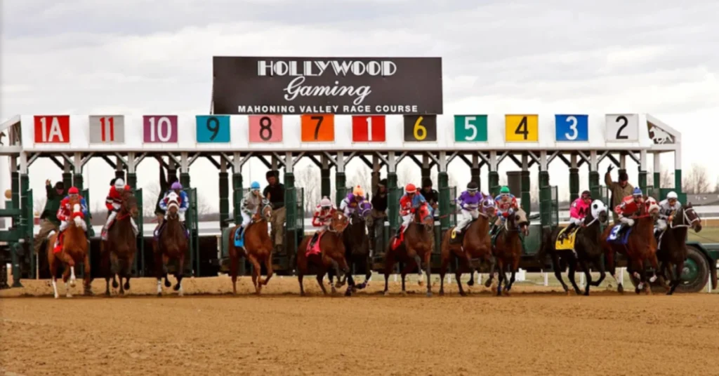 Mahoning Valley carreras en vivo: Tabla de dividendos de caballos americanos MasterBets365.com