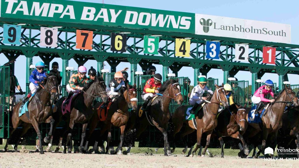 Resultados carreras de caballos: Retrospecto Tampa BAY DOWNS MasterBets365.com