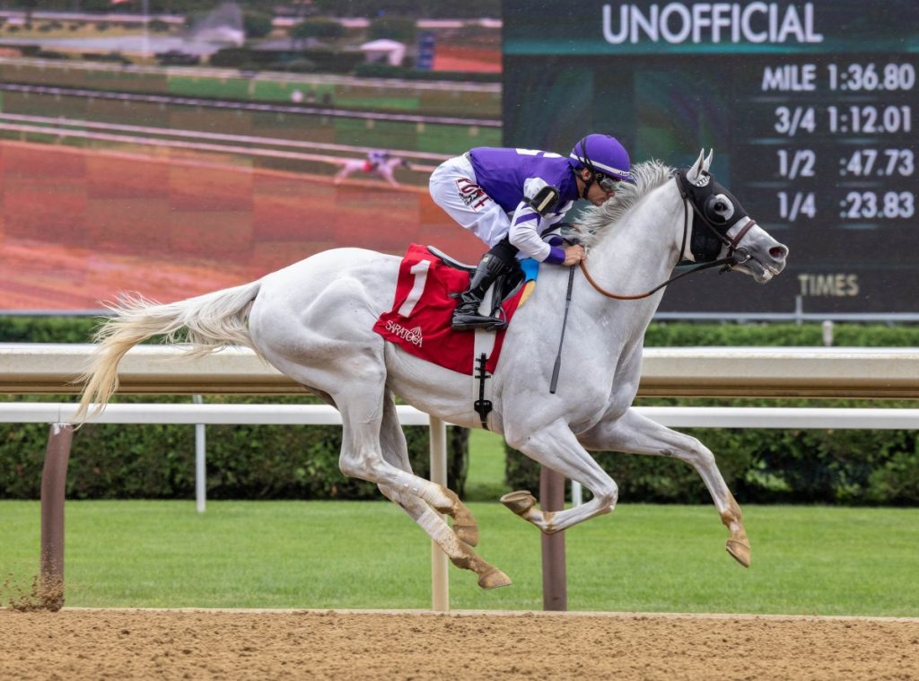Alabama Stakes y Saudí Cup 2024 jockeys venezolanos G1