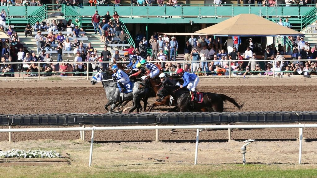 Carreras de caballos Turf Paradise: Quick picks americanas MasterBets365