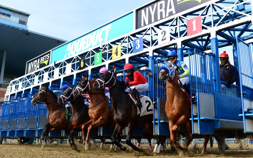 Carreras americanas winner choice: Resultados carreras Aqueduct hoy Masterbets365.com