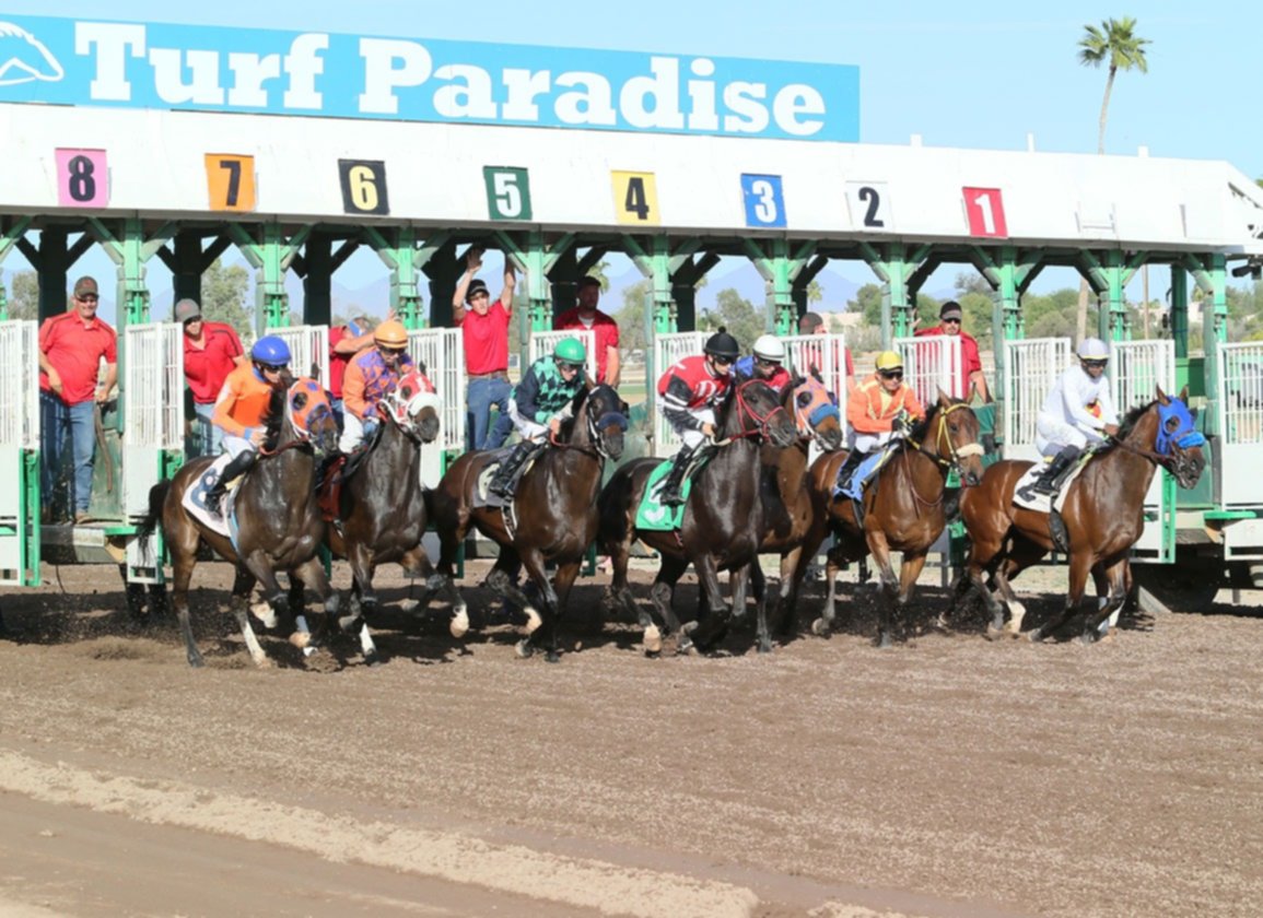 Pronóstico Turf Paradise: Retrospecto de carreras americanas hoy MasterBets365.com