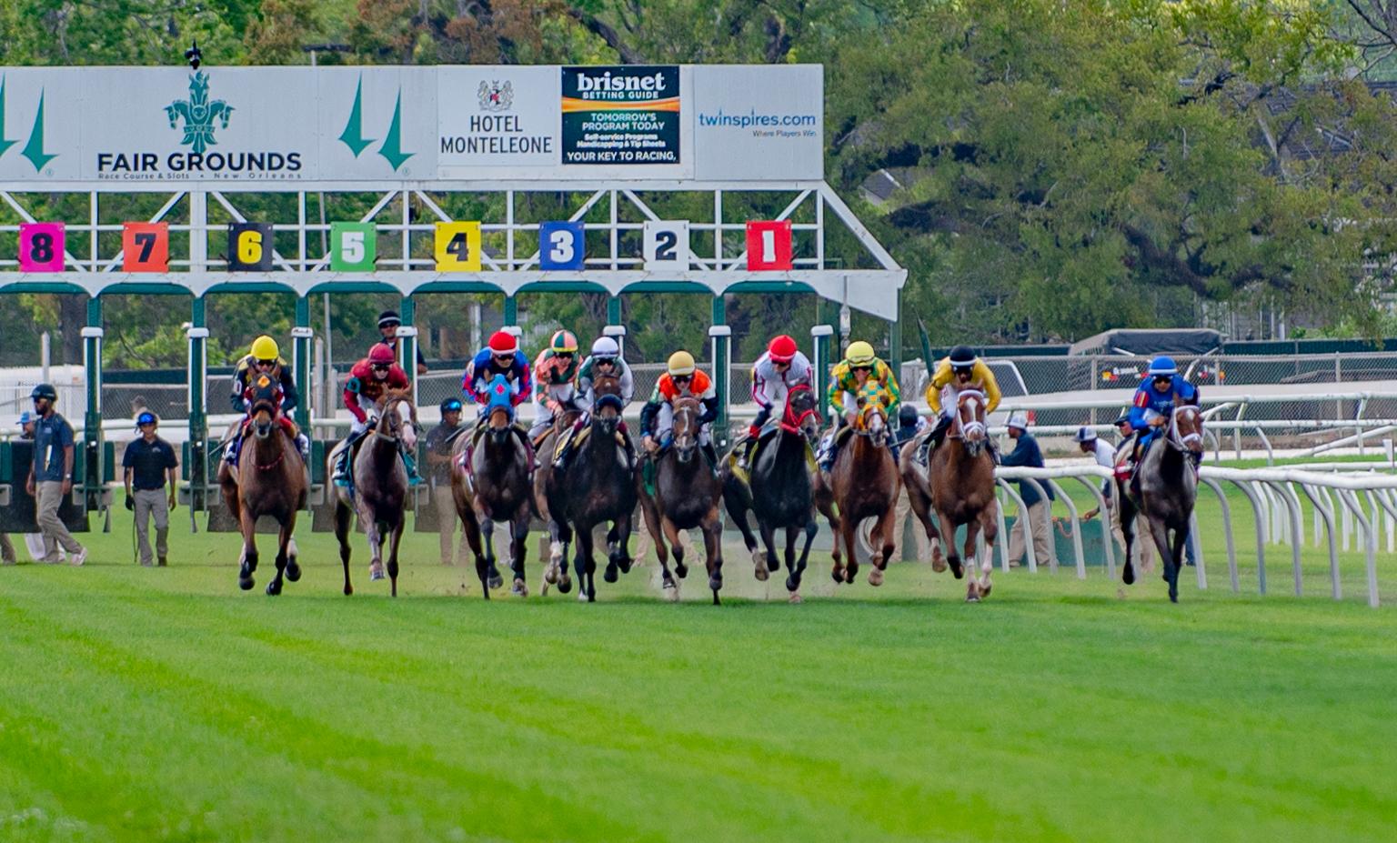 Fair Grounds picks: Resultados carreras de caballos hoy MasterBets365.com