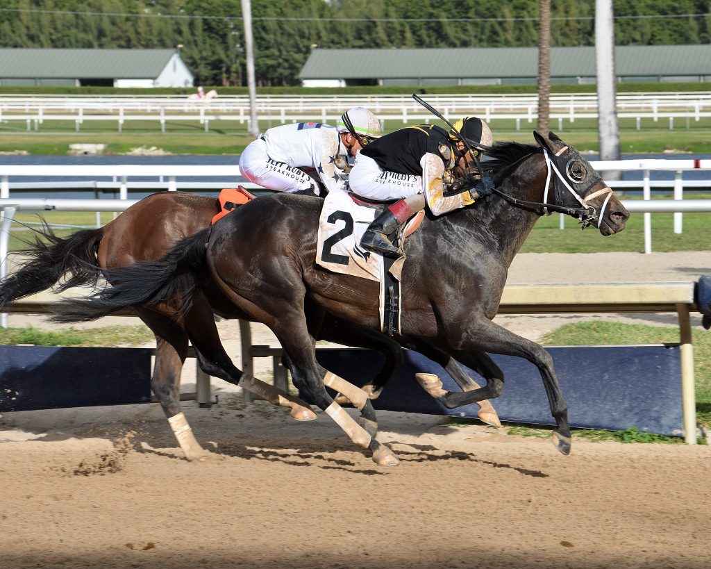 Datos de Gulfstream Park: Resultados carreras de caballos hoy MasterBets365.com