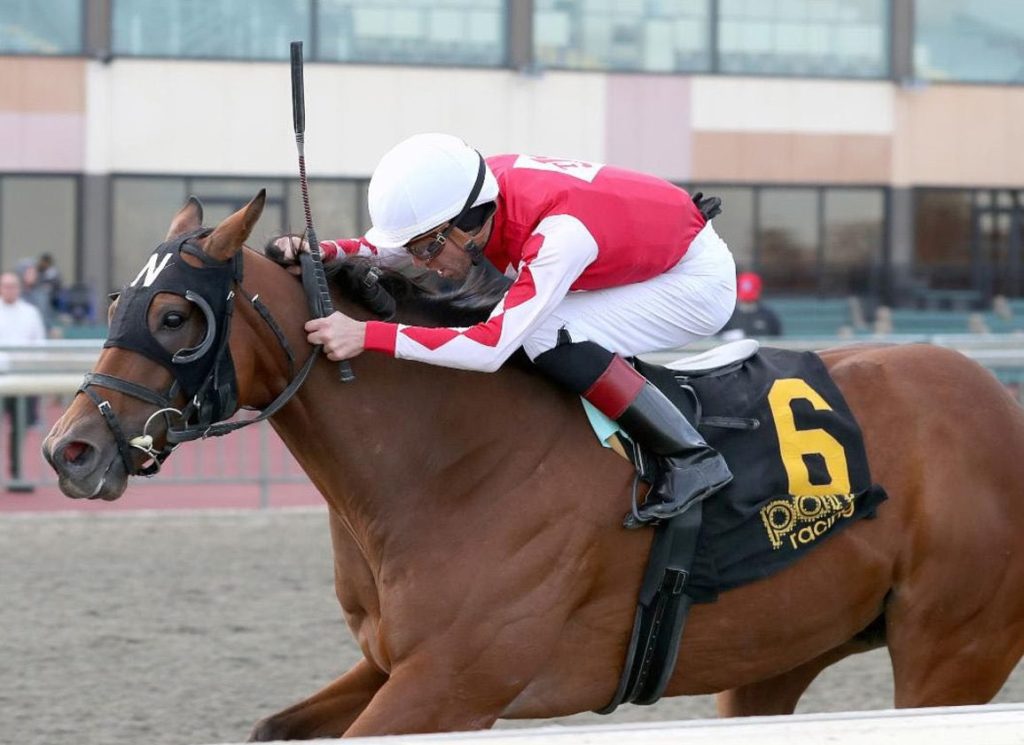 Hipismo internacional datos: Parx racing pronósticos Masterbets365.com