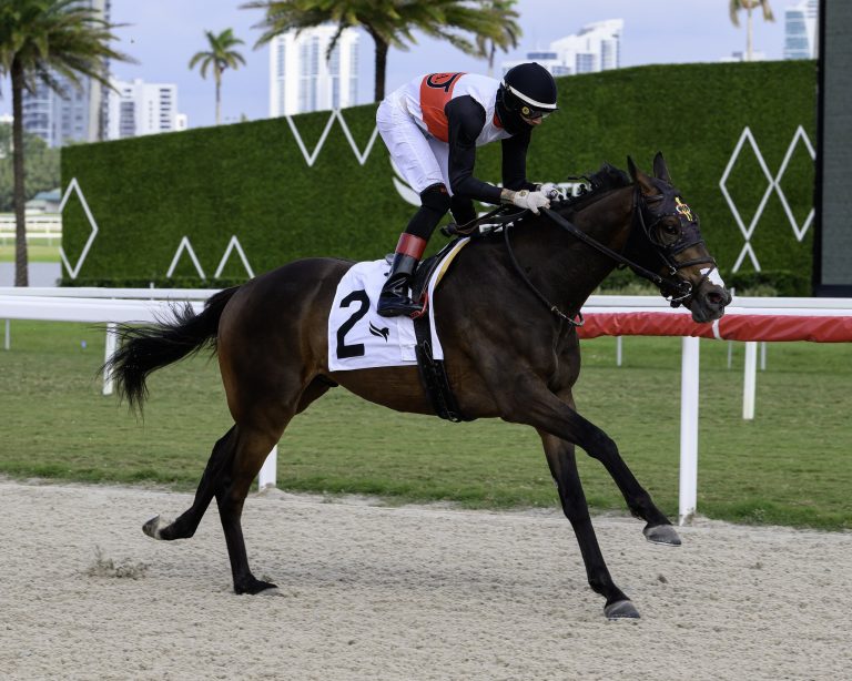 Gulfstream Park hipismo carreras americanas