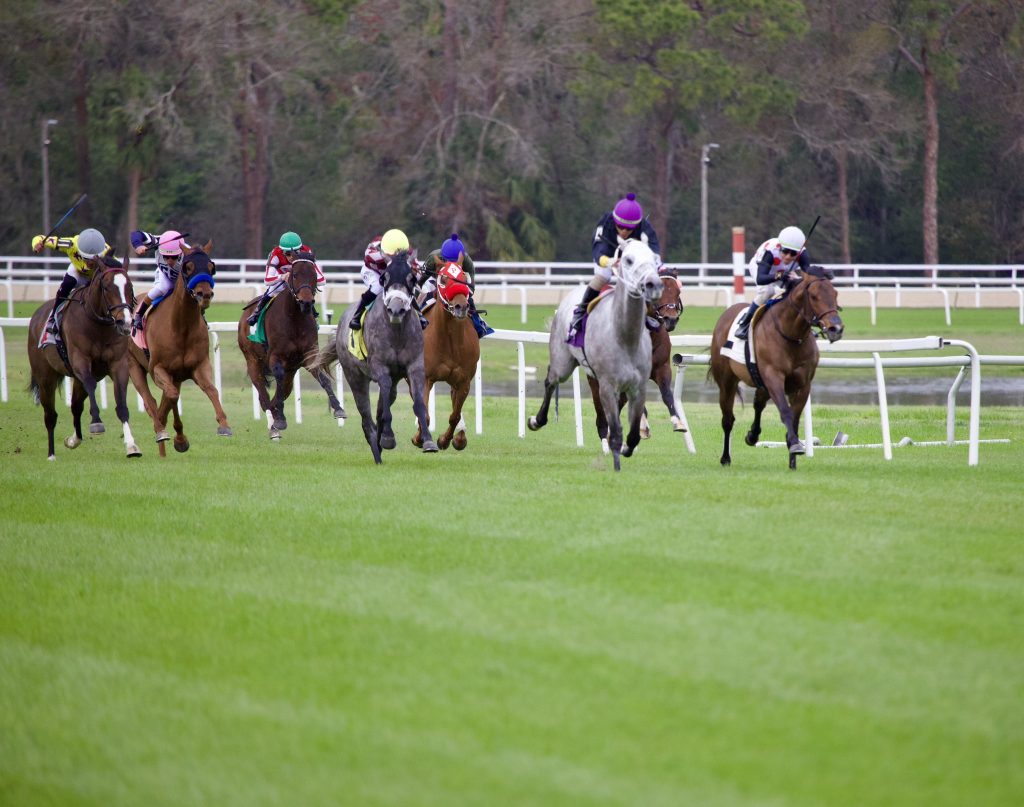 Resultados tampa bay downs: Retrospecto de carreras americanas para hoy MasterBets.com