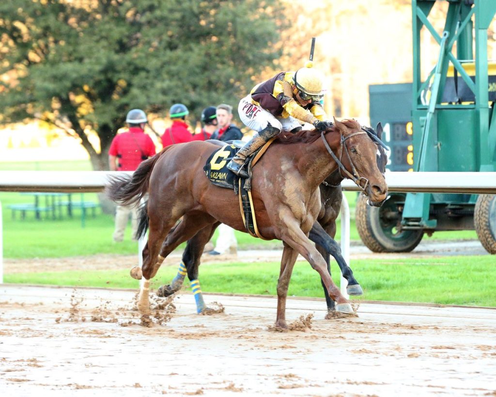 Apuestas de caballos internacionales: Hipodromo de Oaklawn Park MasterBets365.com