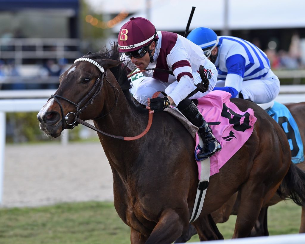 Datos fijos de Gulfstream Park: Pronósticos de carreras de caballos MasterBets365.com