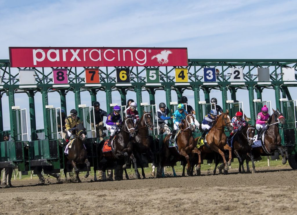 Resultados de parx racing de hoy: Apuestas de caballos internacionales MasterBets365.com