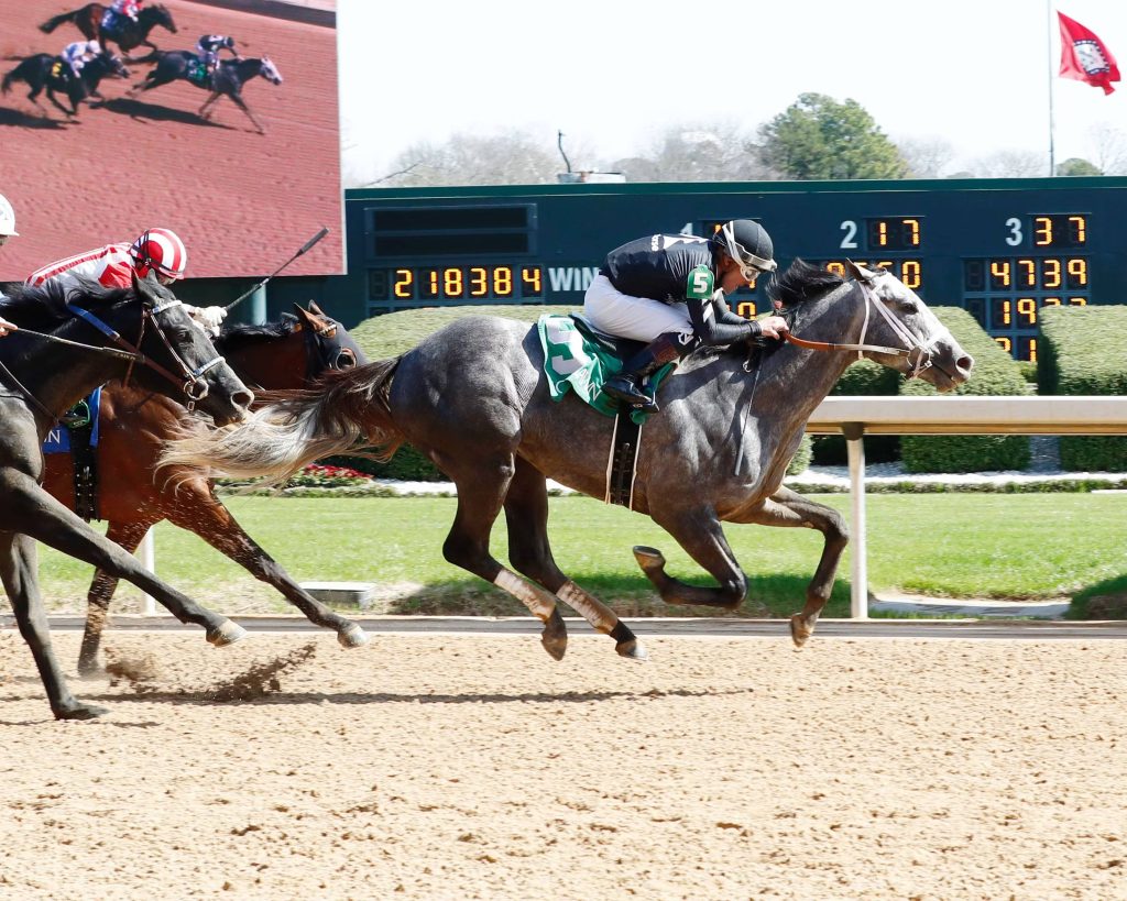 Hipódromo de Oaklawn Park: Datos hípicos gratis carreras internacionales MasterBets365.com