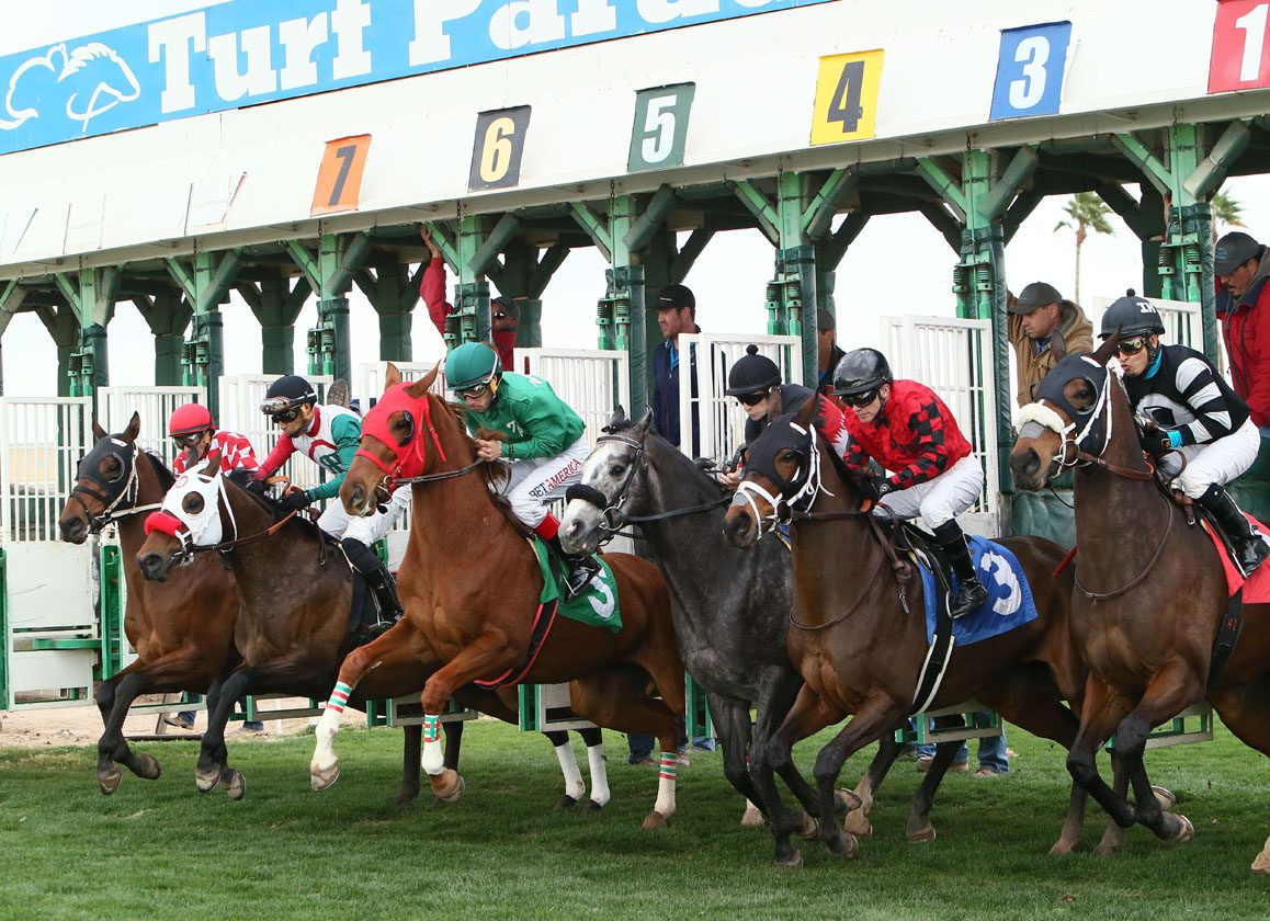 Pronósticos de Turf Paradise: Datos hípicos gratis carreras internacionales MasterBets365.com