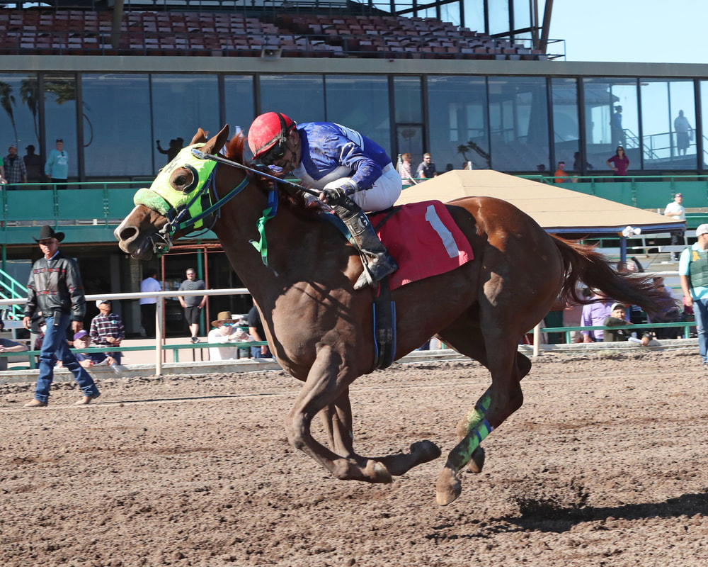 Marcas internacionales hípicas: Pronosticos de Turf Paradise MasterBets365.com