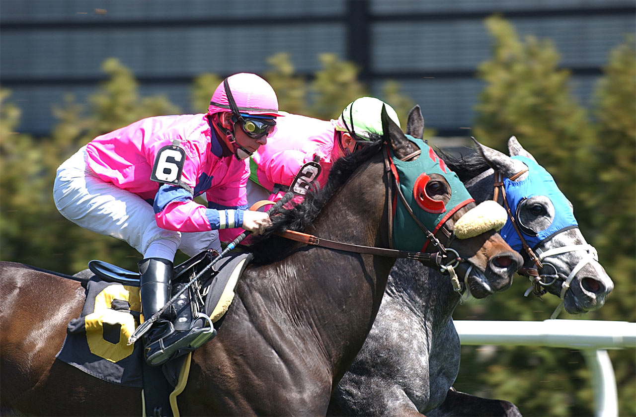Pronósticos Aqueduct hoy: Resultados carreras de caballos hoy MasterBets365.com
