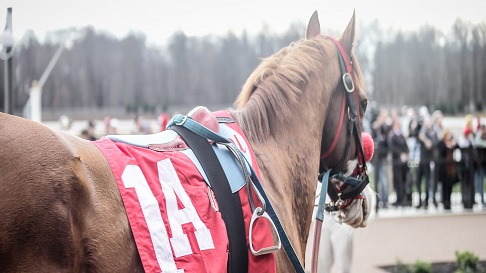 Retrospecto de carreras americanas para hoy: Mahoning Valley datos MasterBets365.com