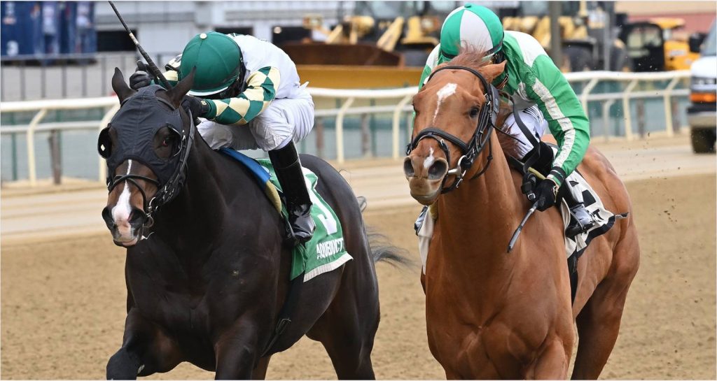 Carreras americanas aqueduct: Datos para las carreras de hoy MasterBets365.com