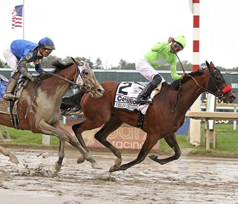 Parx Racing picks: Apuestas de caballos internacionales Masterbets365.com