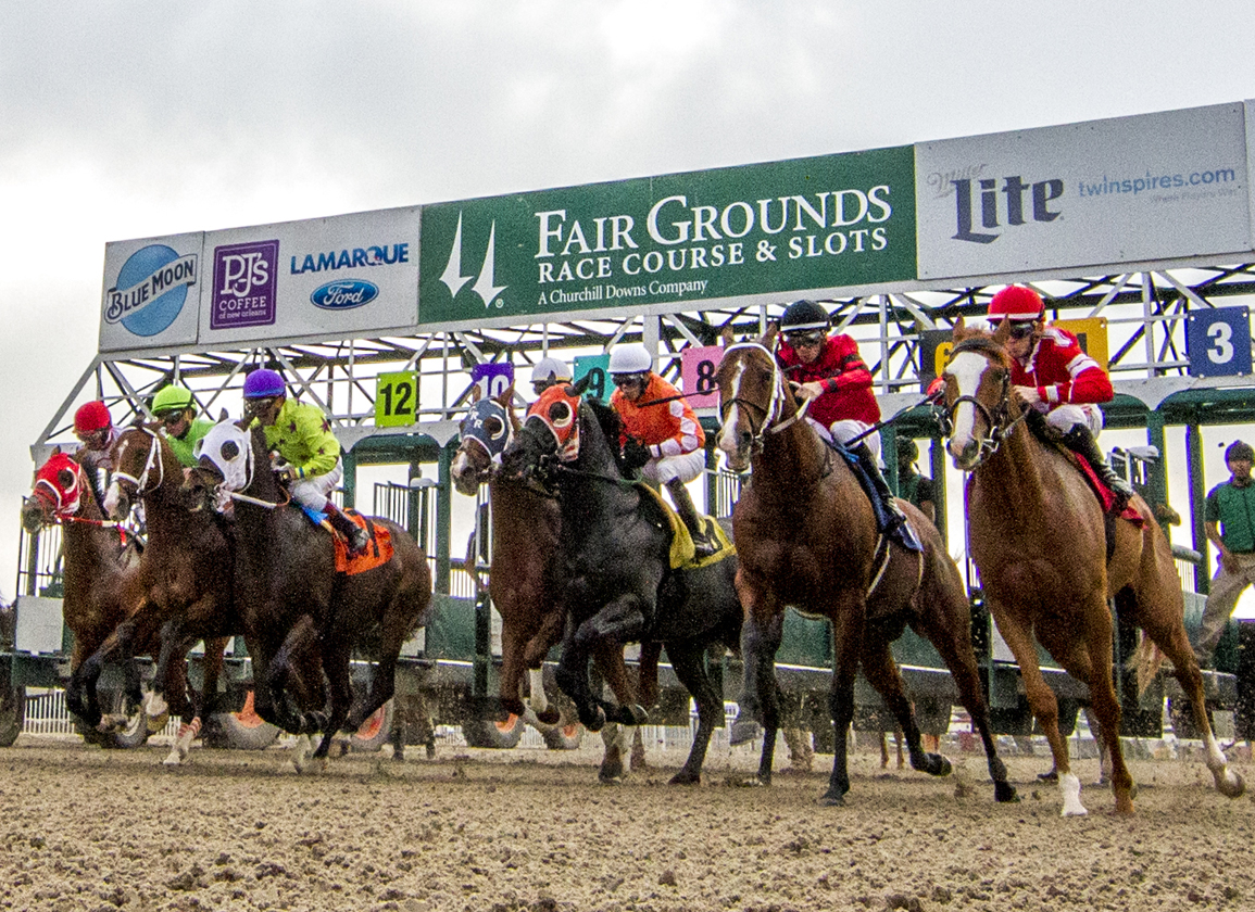Apuestas de caballos internacionales: Pronóstico Fair Grounds MasterBets365.com