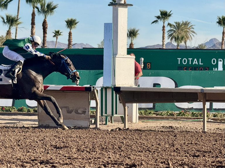 Turf paradise resultados: Carreras americanas en vivo hoy MasterBets.com