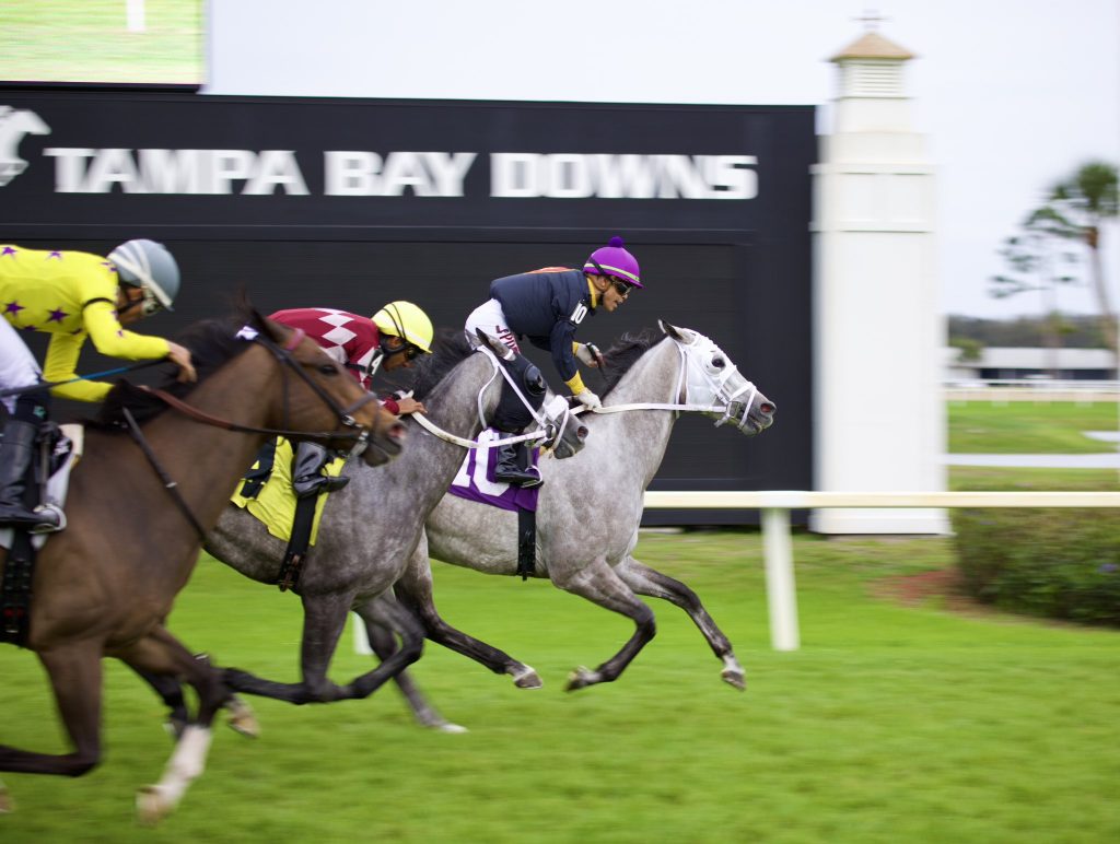 Retrospecto carreras americanas: Tampa Bay Downs pronósticos MasterBets365.com
