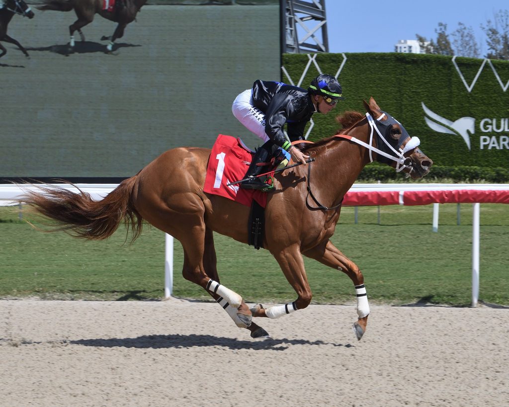 Datos fijos de Gulfstream Park: Resultados carreras de caballos hoy MasterBets365.com
