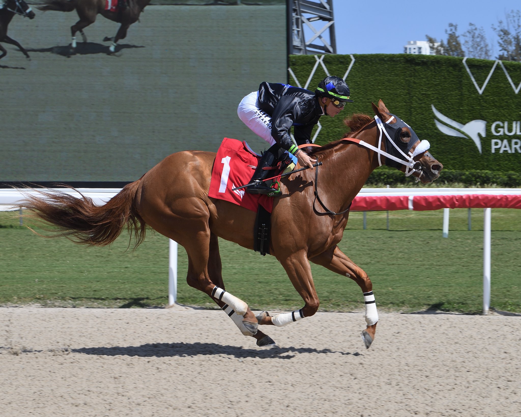 Datos fijos de Gulfstream Park: Resultados carreras de caballos hoy MasterBets365.com
