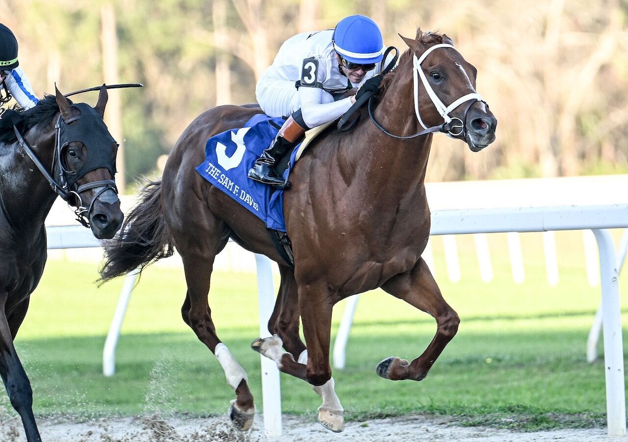 Resultados fair grounds hoy: Datos para las carreras de hoy MasterBets.com
