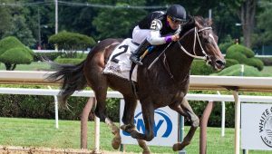 Mahoning Valley picks Pronósticos de carreras de caballos para hoy MasterBets365 Apuestas hipicas internacionales