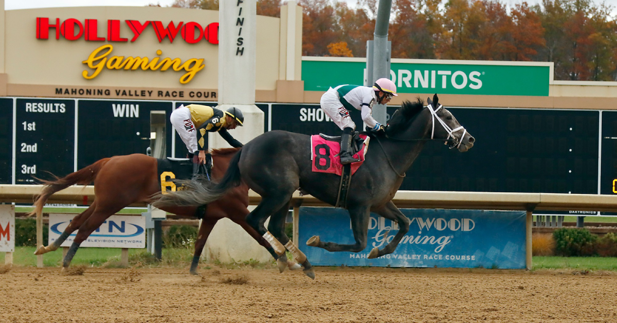 Resultados mahoning valley: Tabla de dividendos carreras americanas MasterBets.com