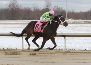 Mahoning Valley carreras en vivo Masterbets365.com
