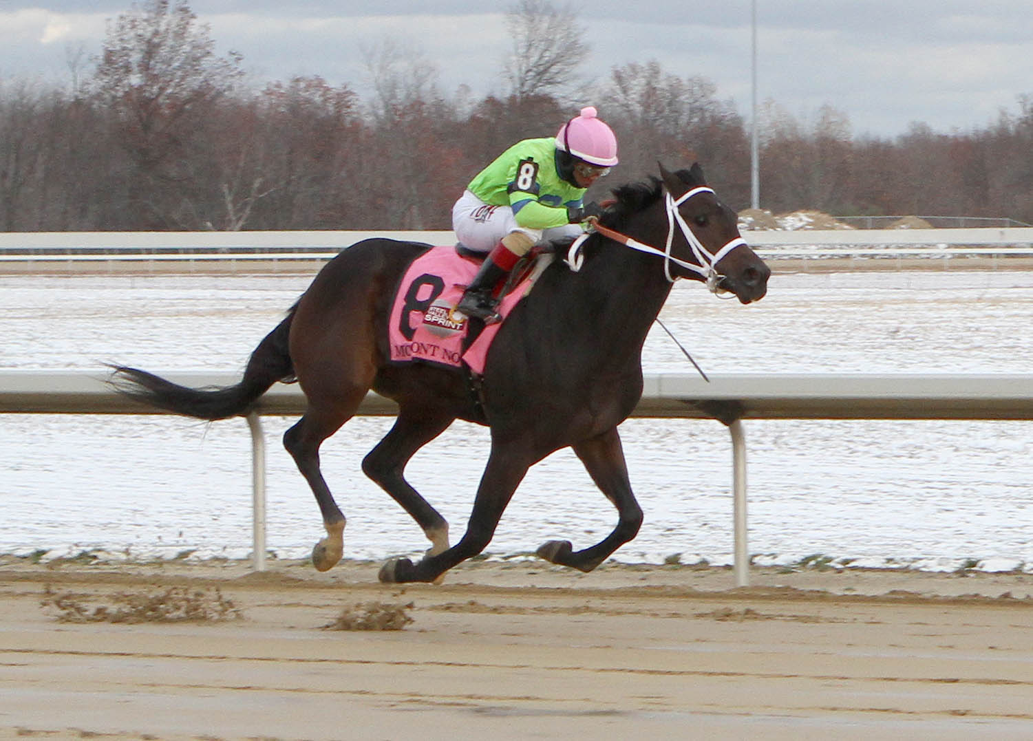 Mahoning Valley carreras en vivo Masterbets365.com
