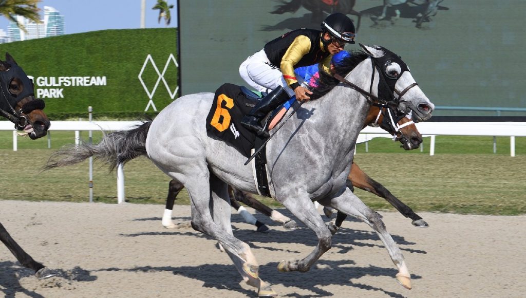 Marcas carreras americanas: Retrospecto gulfstream park hoy MasterBets365.com