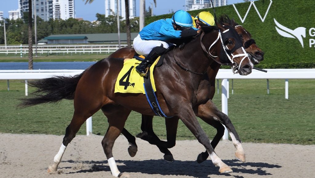 Quick picks americanas Resultados de Gulfstream Park hoy MasterBets365 Apuestas hípicas