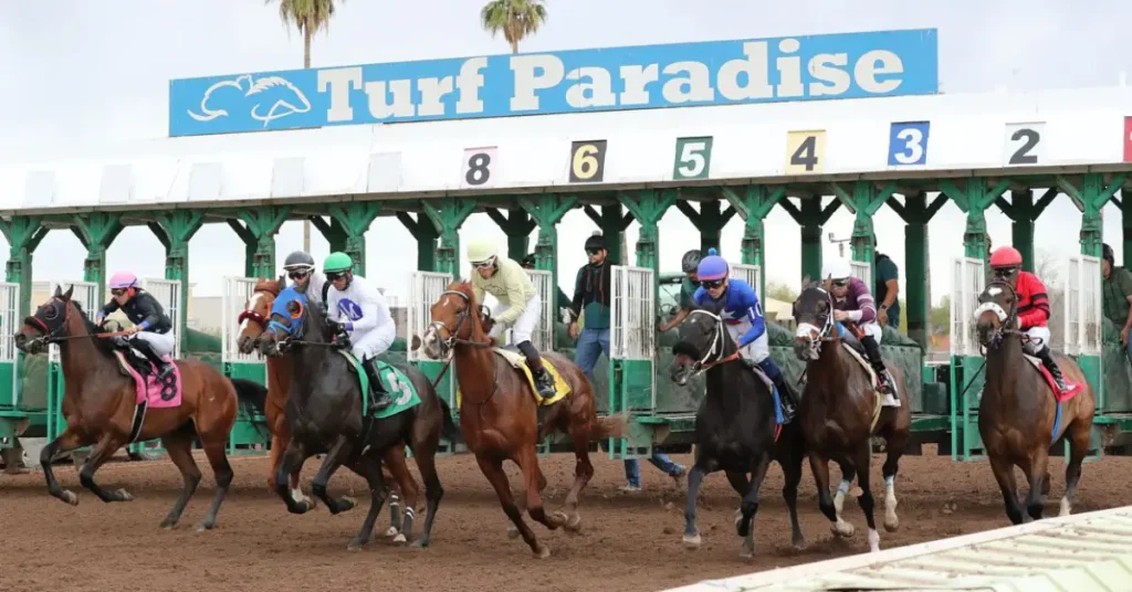 Resultados carreras Turf Paradise: Apuestas de caballos internacionales MasterBets365.com