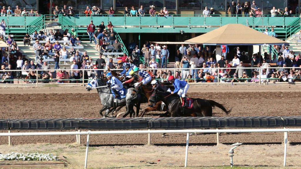 Datos Turf Paradise: Apuestas de caballos internacionales Masterbets365.com
