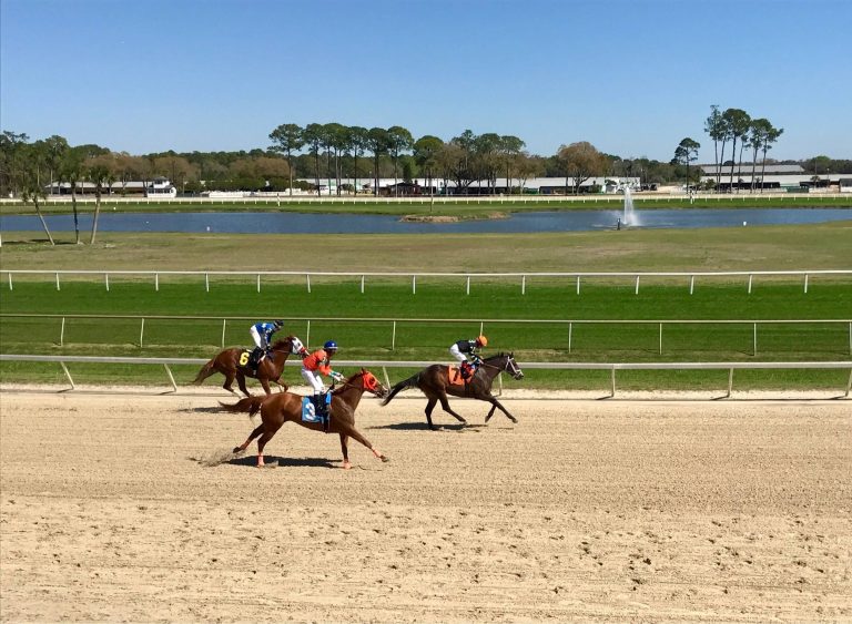 Tampa bay downs picks: Resultados de las carreras americanas de hoy MasterBets.com