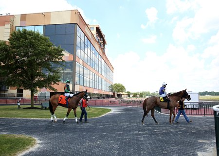 Resultados de parx racing de hoy: Datos hipismo internacional MasterBets365.com