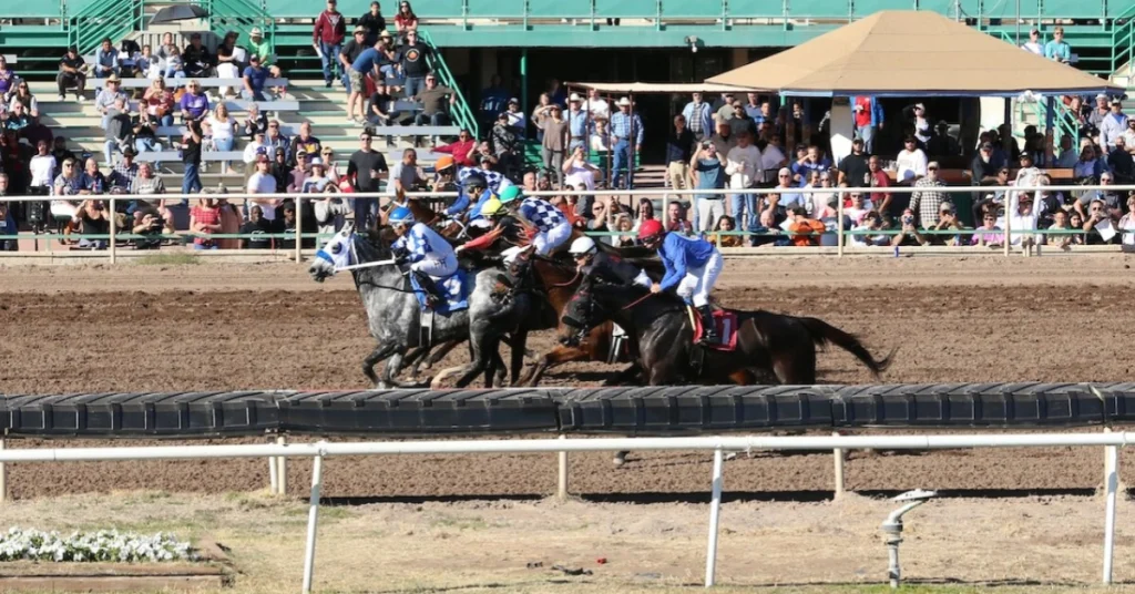 Apuestas de caballos internacionales: Datos Turf Paradise MasterBets365.com